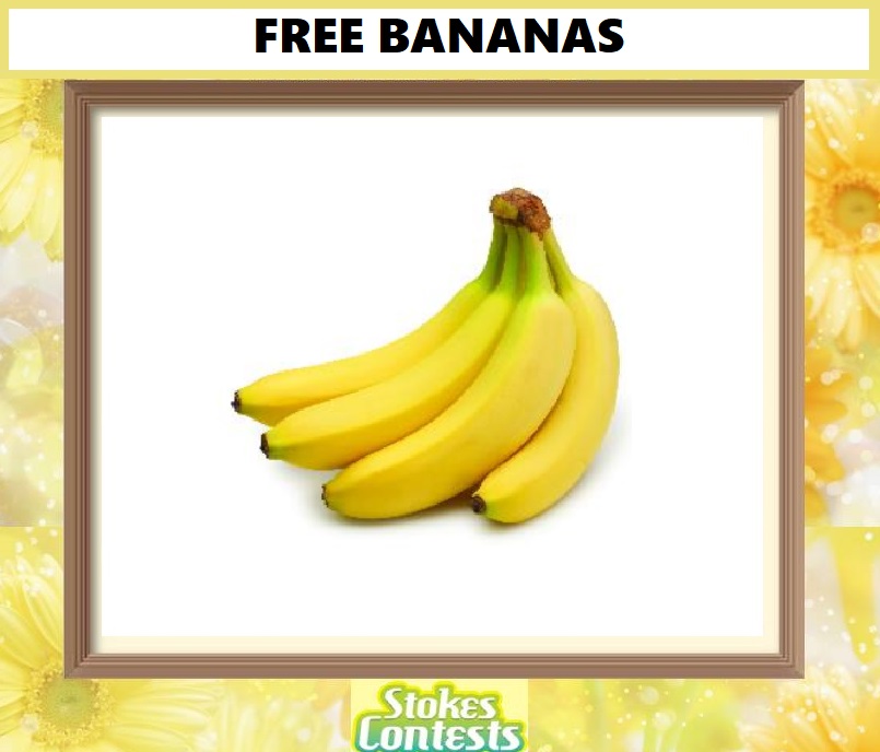 Image FREE Bananas 