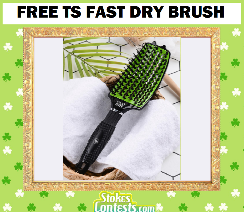 Image FREE TS Fast Dry Brush