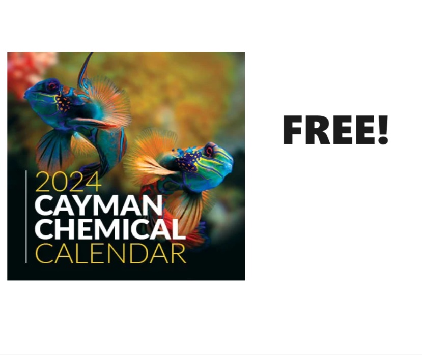 1_Calendar_Cayman