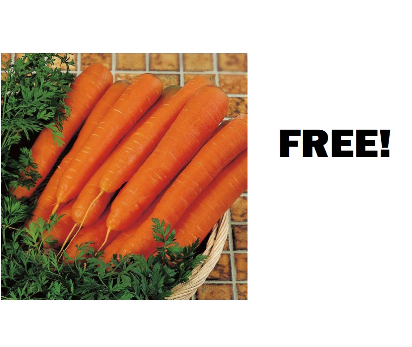 Image FREE Packs of Carrot Seeds 