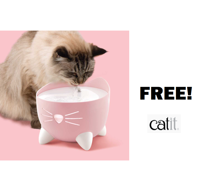 Image FREE Catit PIXI Drinking Fountain For Your Cat