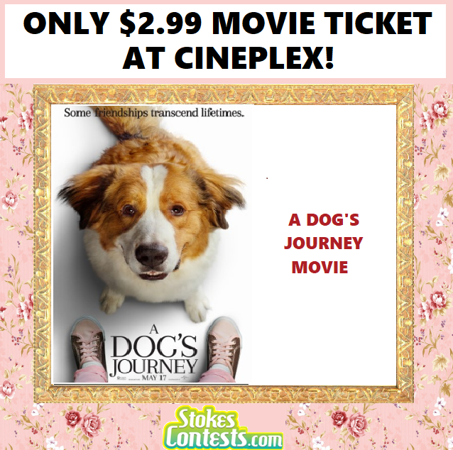 Image A Dog's Journey Movie For ONLY $2.99 at Cineplex!