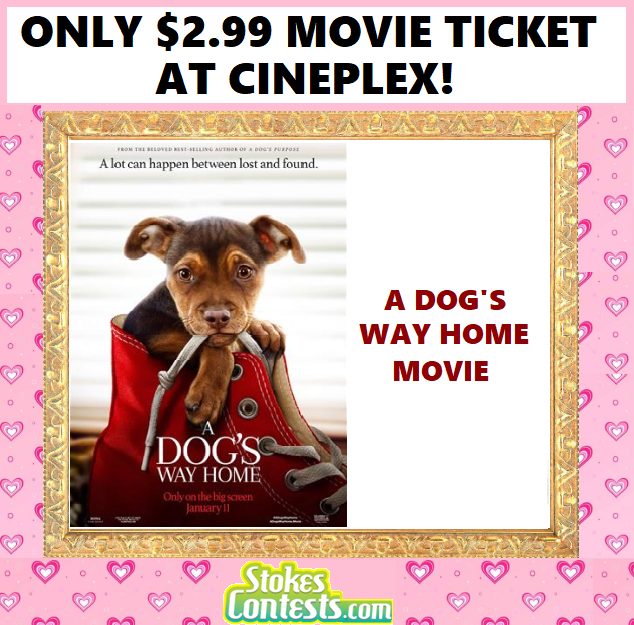 Image A Dog's Way Home Movie For ONLY $2.99 at Cineplex!