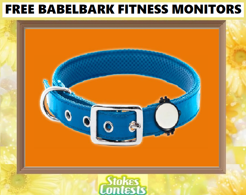 Image 2 FREE BabelBark Fitness Monitors