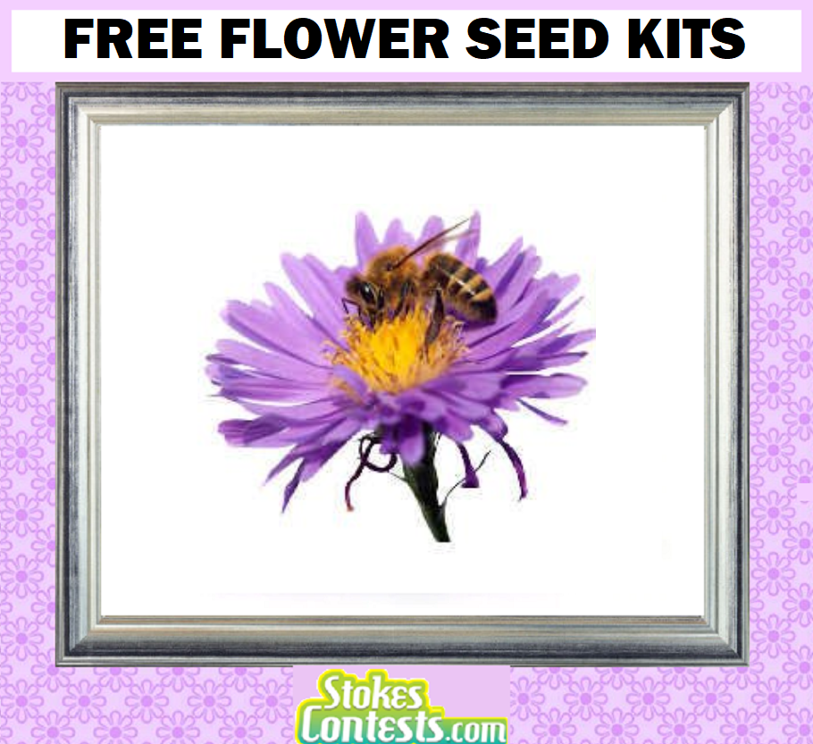 Image FREE Flower Seed Kits