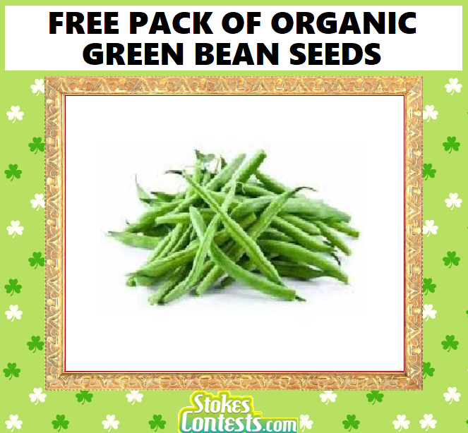 Image FREE Pack of ORGANIC Green Bean Seeds