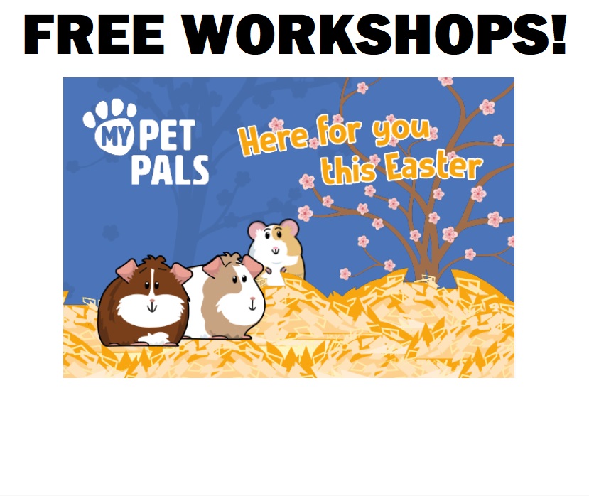 Image FREE Pets at Home Easter Workshop