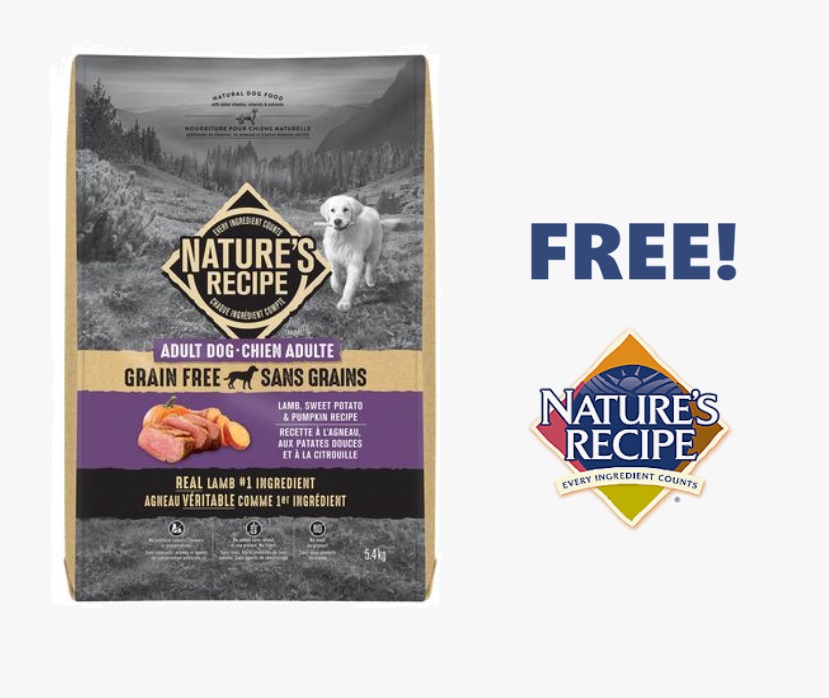 Image FREE Nature’s Recipe Dog Food, Heinz Alphaghetti, Kool-Aid Jammers & MORE!