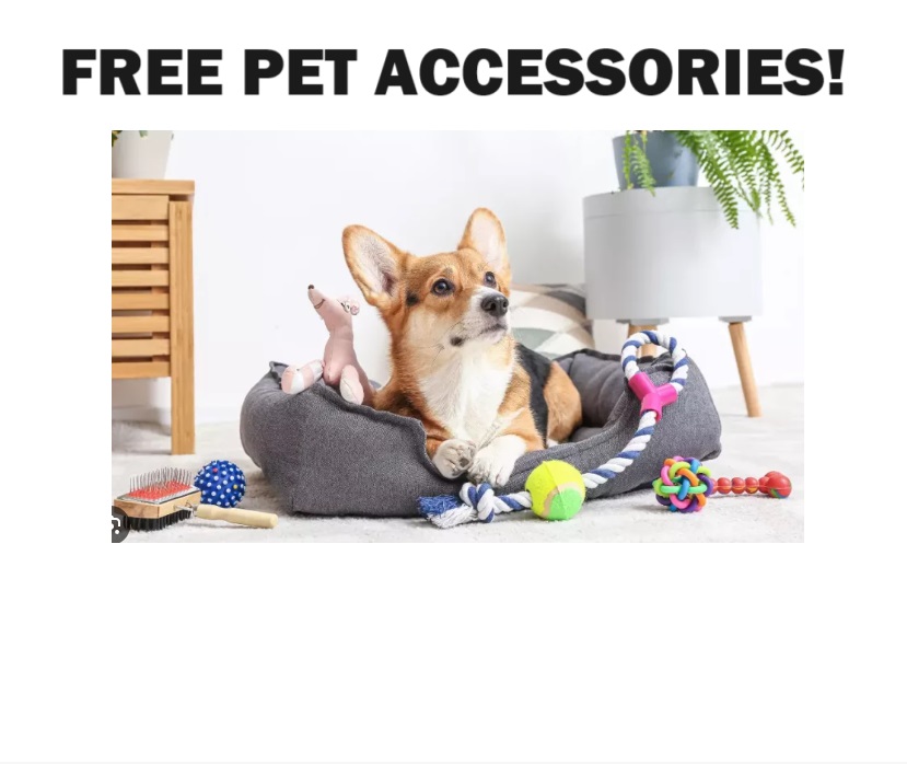 Image FREE Pet Accessories! (must apply)