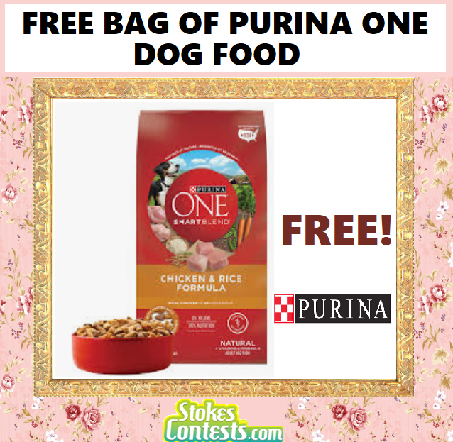 Image FREE BAG of Purina One Dry Dog Food 