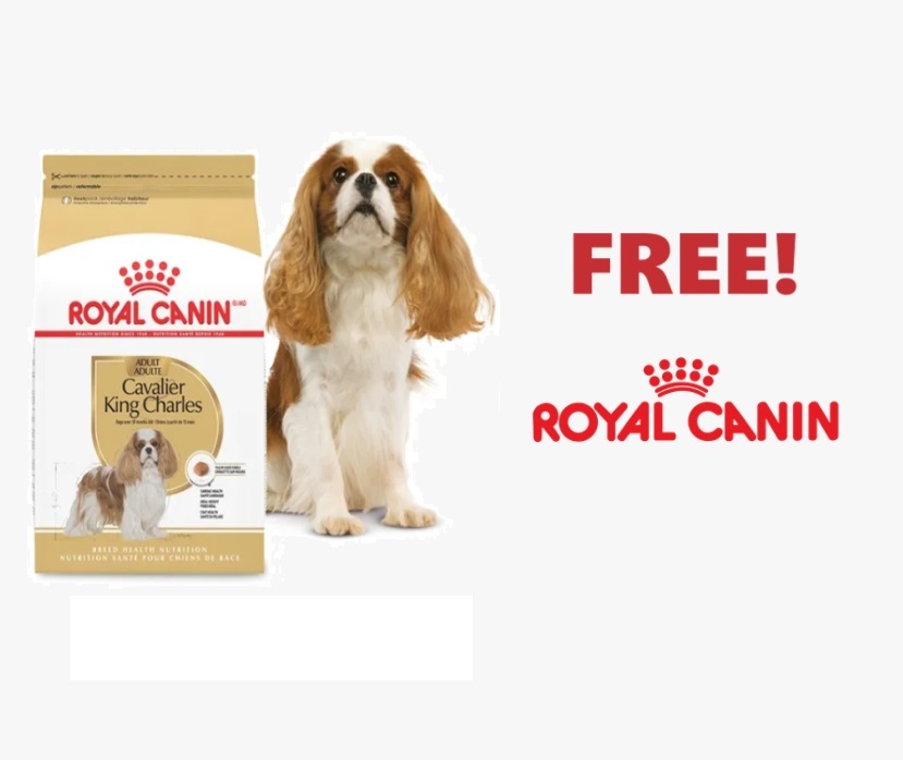 Image FREE Royal Canin Breed Health Nutrition Cavalier King Charles Dog Food! (must apply)