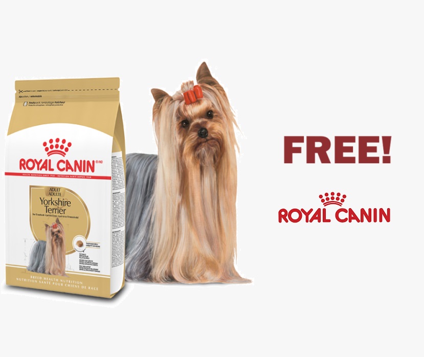 Image FREE BAG of Royal Canin Breed Health Nutrition Yorkshire Terrier