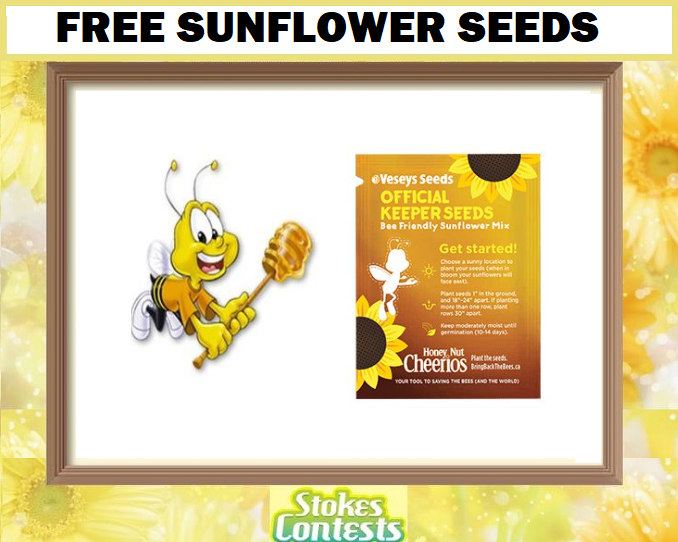Image FREE Sunflower Seeds