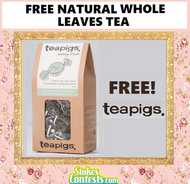 Image FREE Teapigs Feel Good Teas