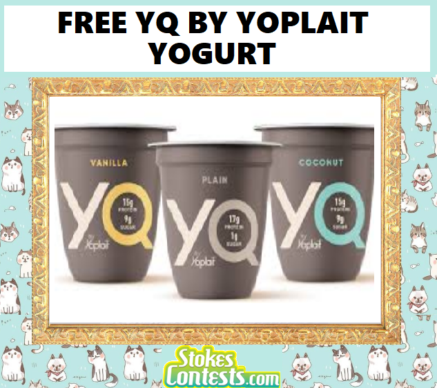Image FREE YQ by Yoplait Yogurt