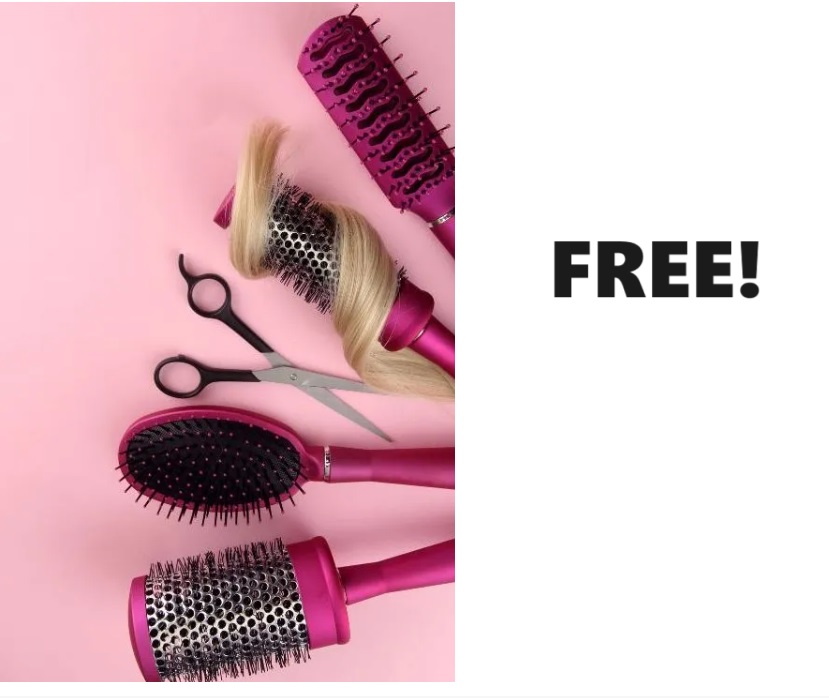 Image FREE Hair Brush