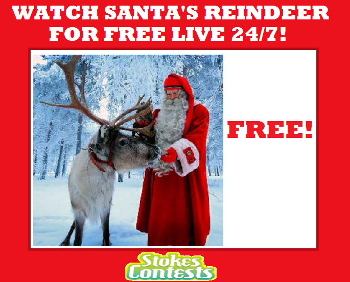 Image Watch Santa's Reindeer for FREE Live 24/7!!