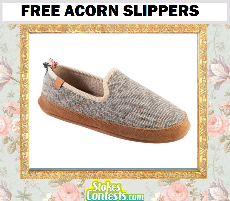 Image FREE Acorn Slippers!!