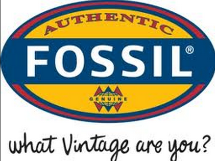 Image Fossil : Free Shipping On Mens Casual Watches