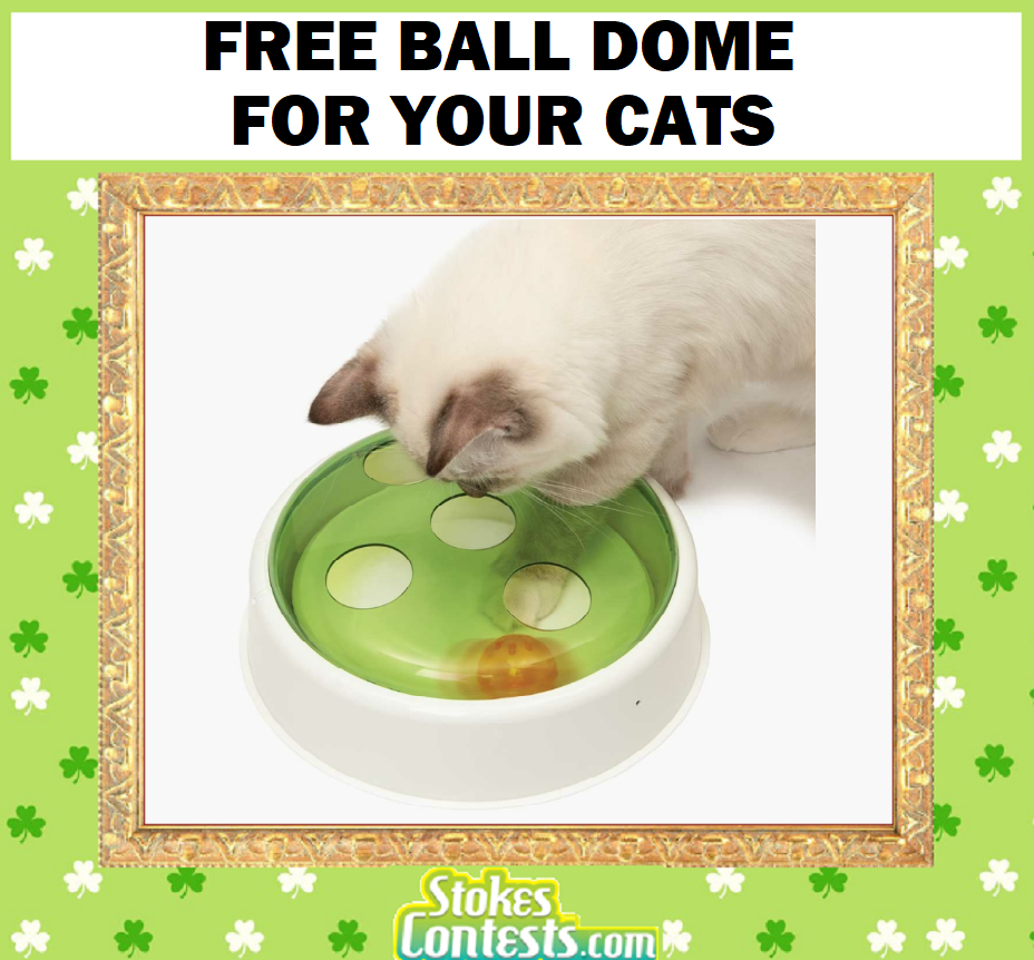 Image FREE Ball Dome for Your Cats