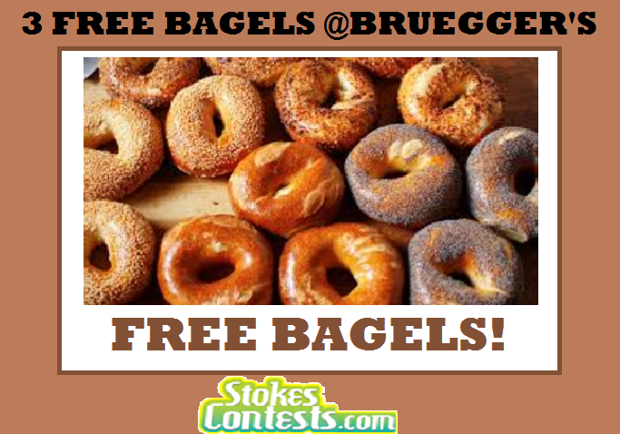 Image 3 FREE Bagels at Bruegger's on Feb 1st