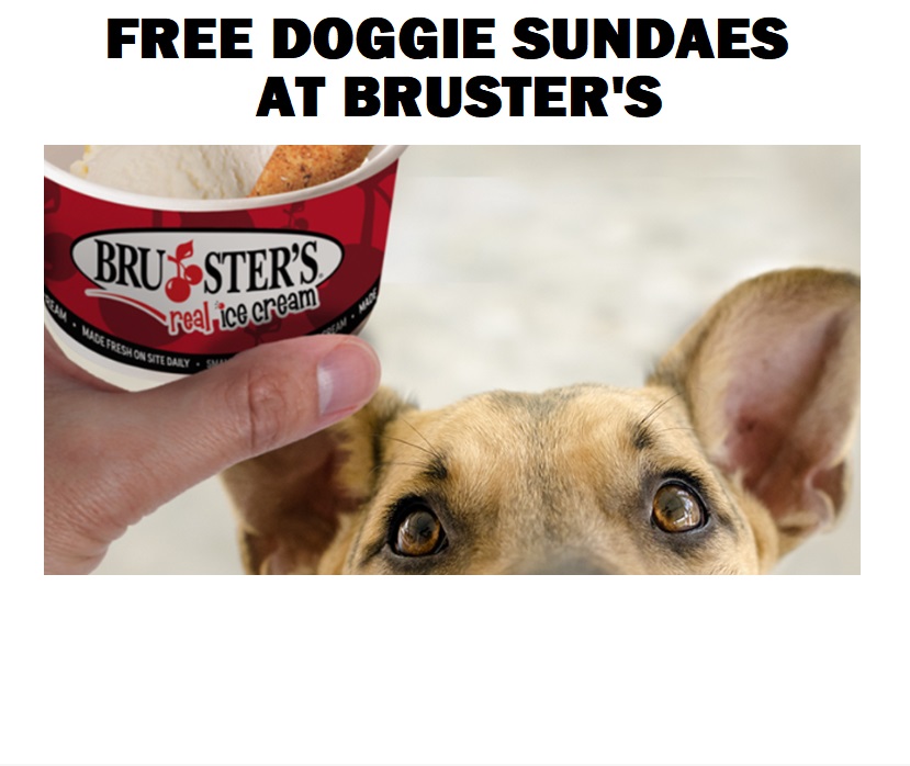 Image FREE Doggie Sundaes at Bruster’s