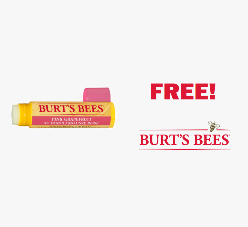 Image FREE Burt's Bees Lip Balm