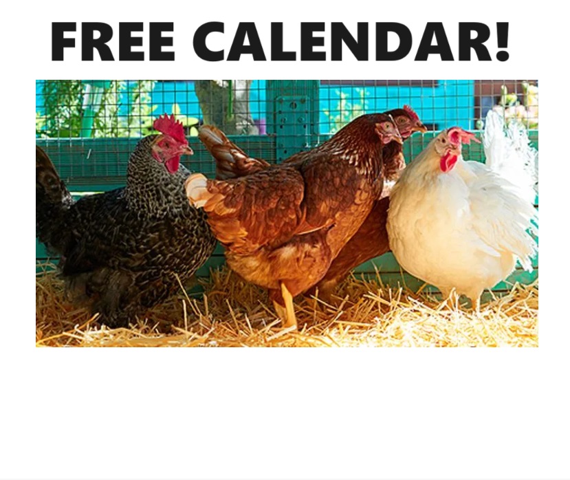 Image FREE 2024 Defend The Flock Calendar