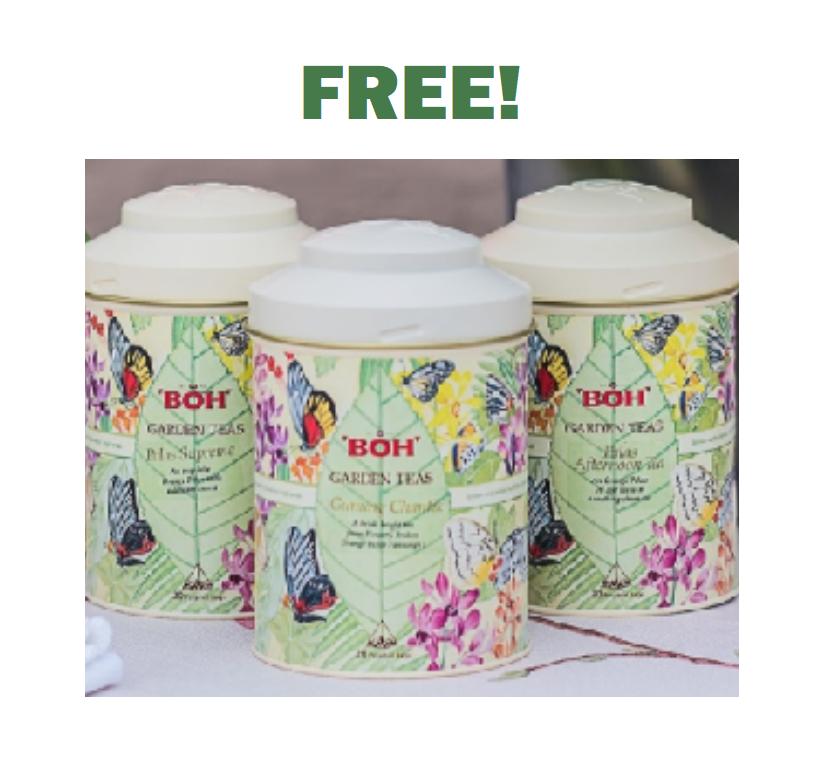 Image FREE Canister of BOH Garden Tea