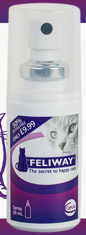 Image FREE Cat Calming Spray