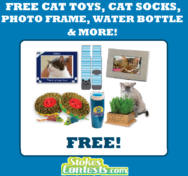 Image FREE Cat Toys, Cat Socks, Photo Frame, Water Bottle & MORE!