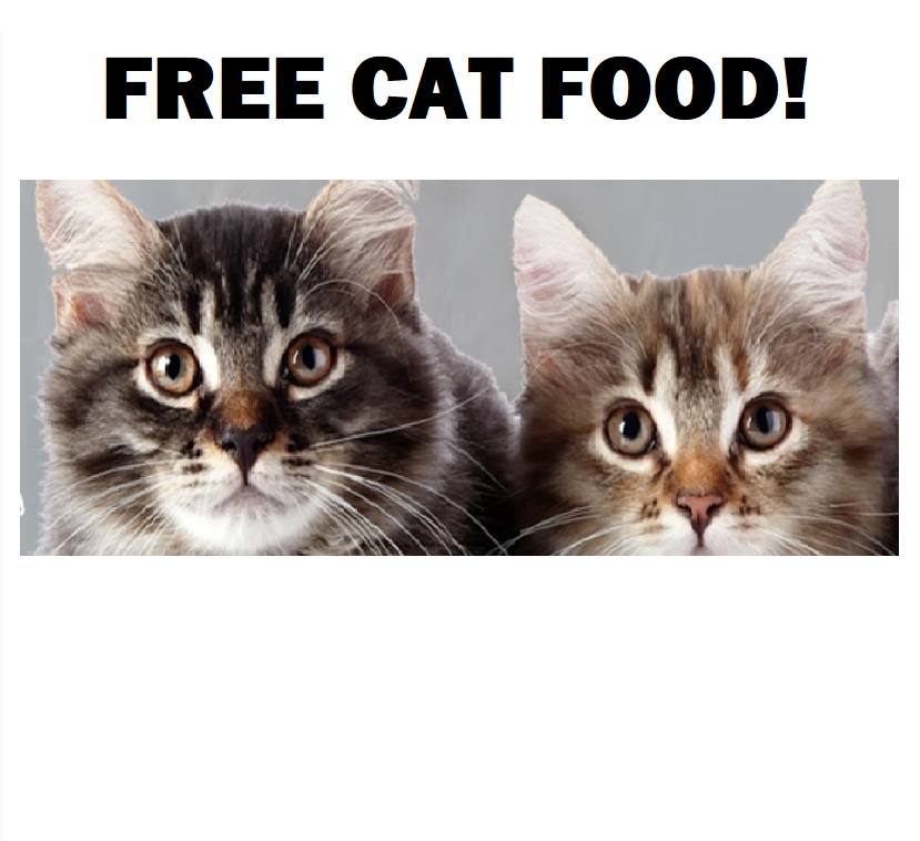 Image FREE Cat food 