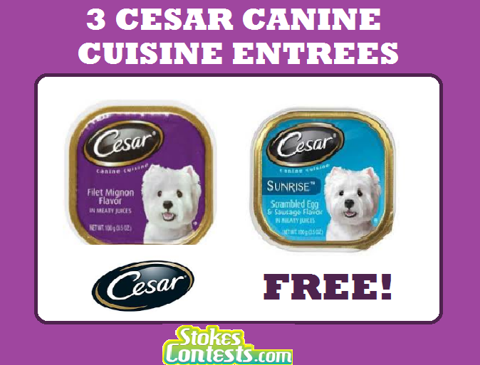 1_Cesar_Canine_Cuisine_Entrees