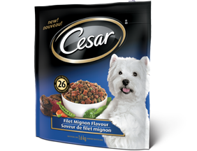 Image FREE Full Sized Bag Of Cesar Softies Dog Treats 