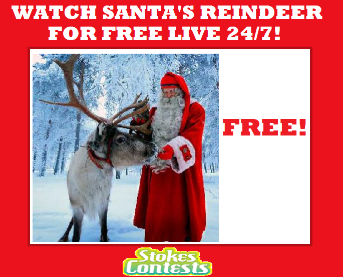 1_ChristmasSanta_sReindeer_Live