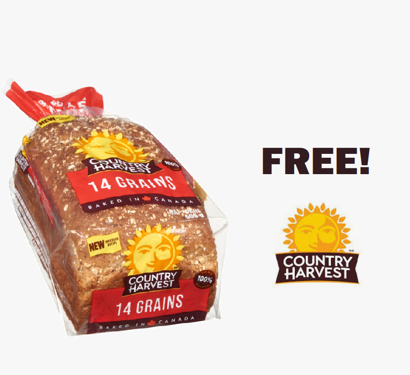 1_Country_Harvest_Bread