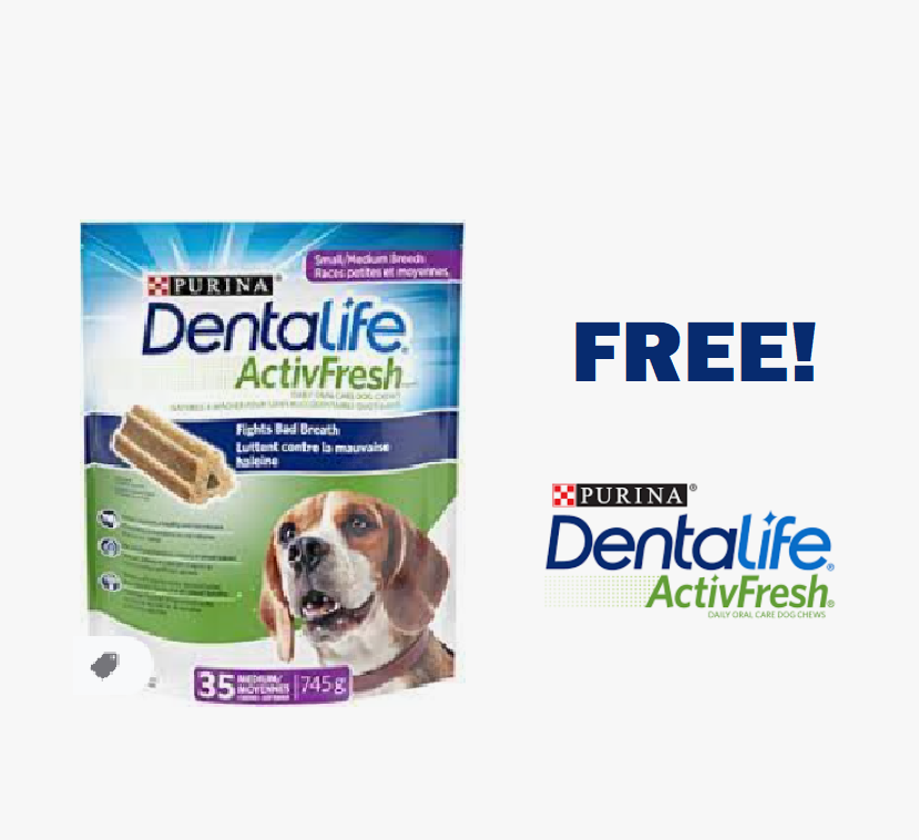 Image FREE Dentalife ActivFresh Dog Dental Treat