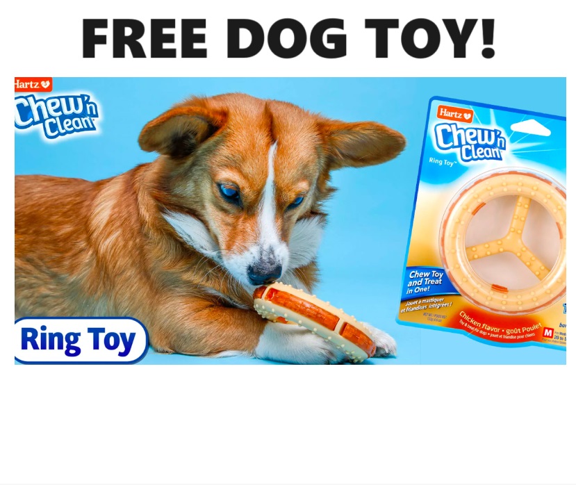 Image FREE Chew ‘n Clean Ring Dog Toy