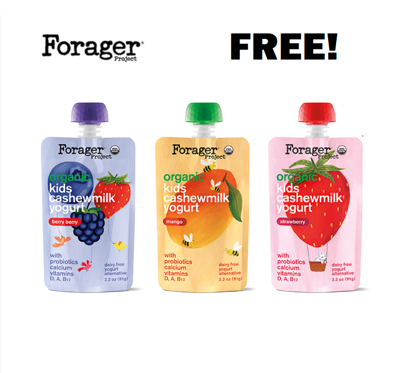 Image FREE Forager Project Organic Kids Cashewmilk Yogurt, Canvas Lunch Bag & MORE!