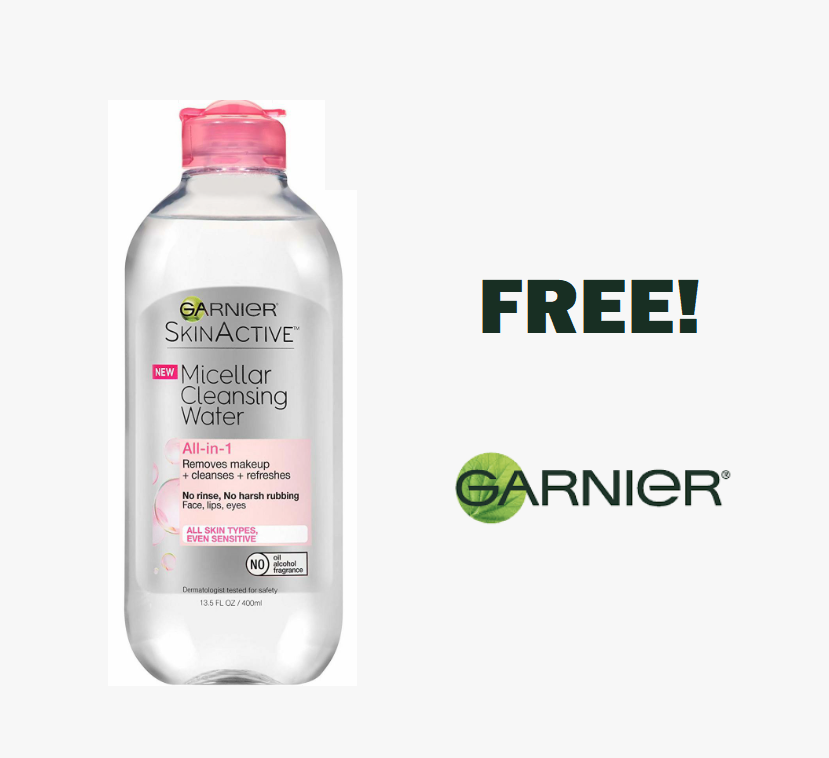 Image FREE Garnier All in One Micellar Cleansing Water