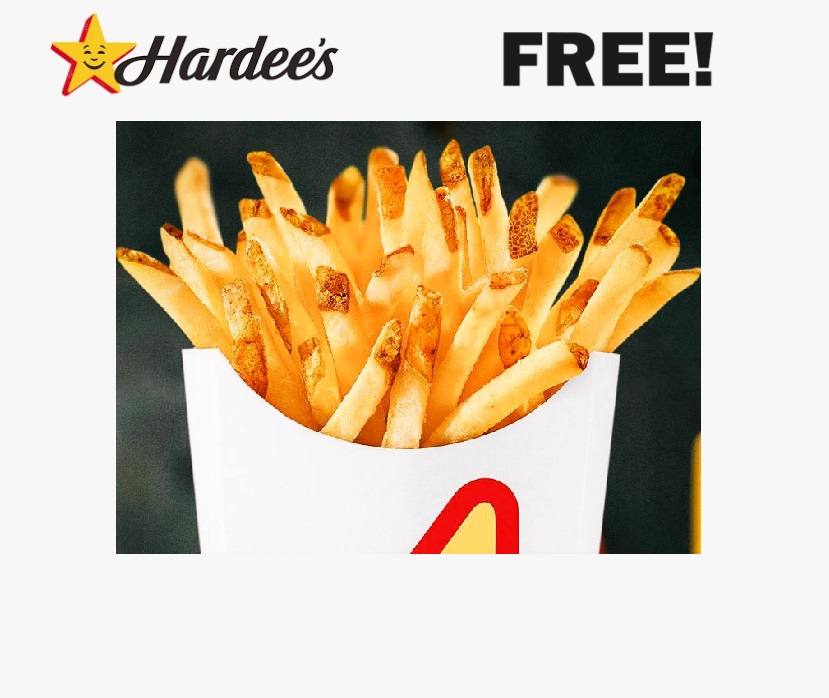 1_Hardee_s_Fries