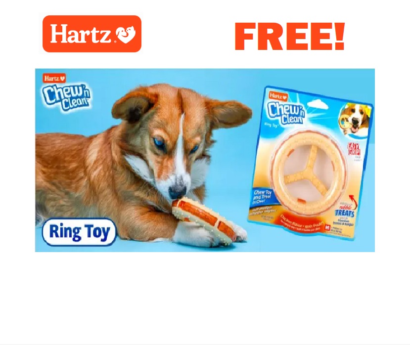 Image FREE Hartz Chew ‘n Clean Ring Dog Toy