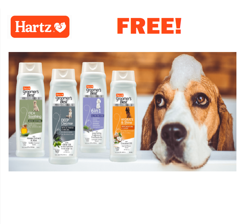 1_Hartz_Groomer_s_Best_Professionals_Dog_Shampoo