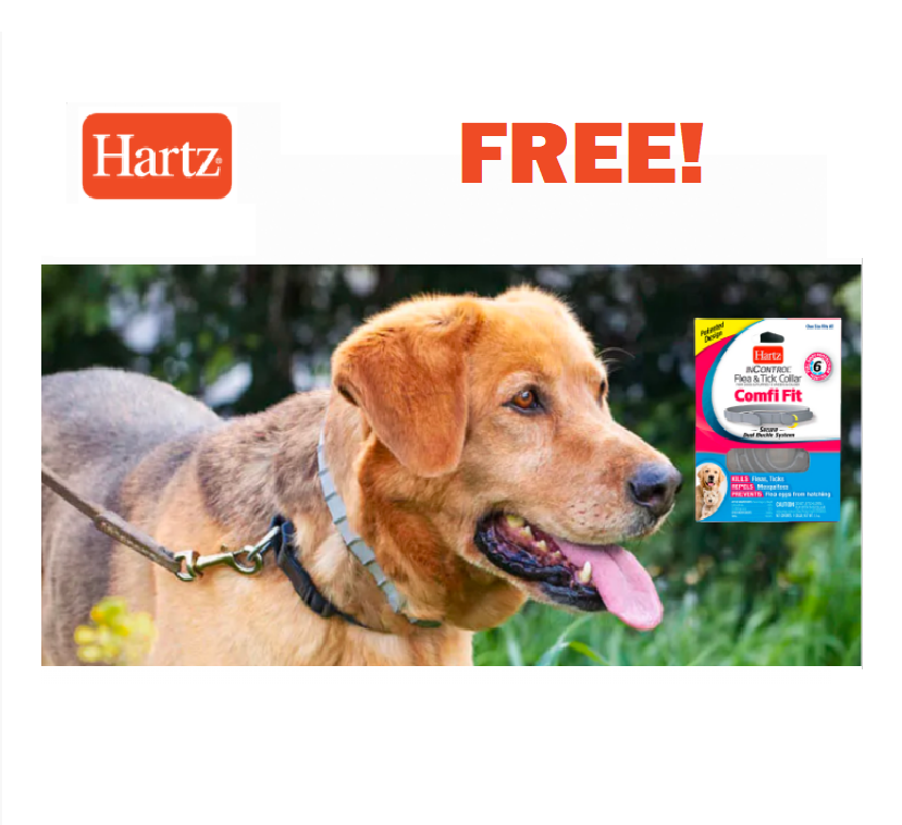 Image FREE Hartz InControl Flea & Tick Collar for Dogs 