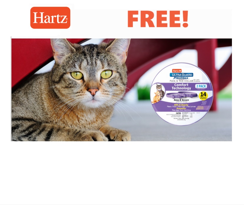 Image 2 FREE Hartz UltraGuard PROMAX Flea & Tick Cat Collars for Cats