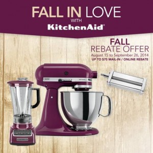 Image FREE Kitchen Aid Small Appliance Mail in Rebate-Up to $75.00