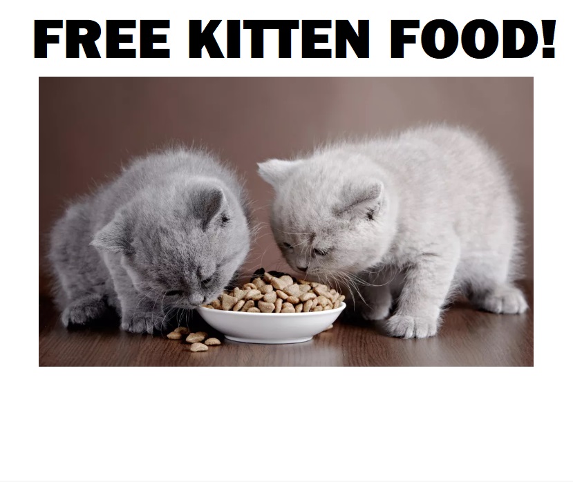 Image FREE Kitten Dry Food