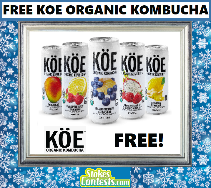 Image FREE Can of Koe ORGANIC Kumbucha