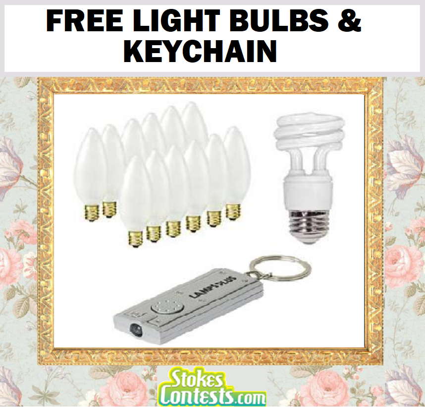 Image FREE Light Bulbs & Keychain