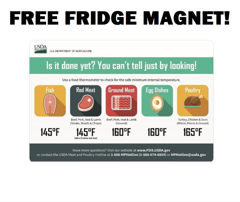 Image FREE Internal Cooking Temperatures Fridge Magnet